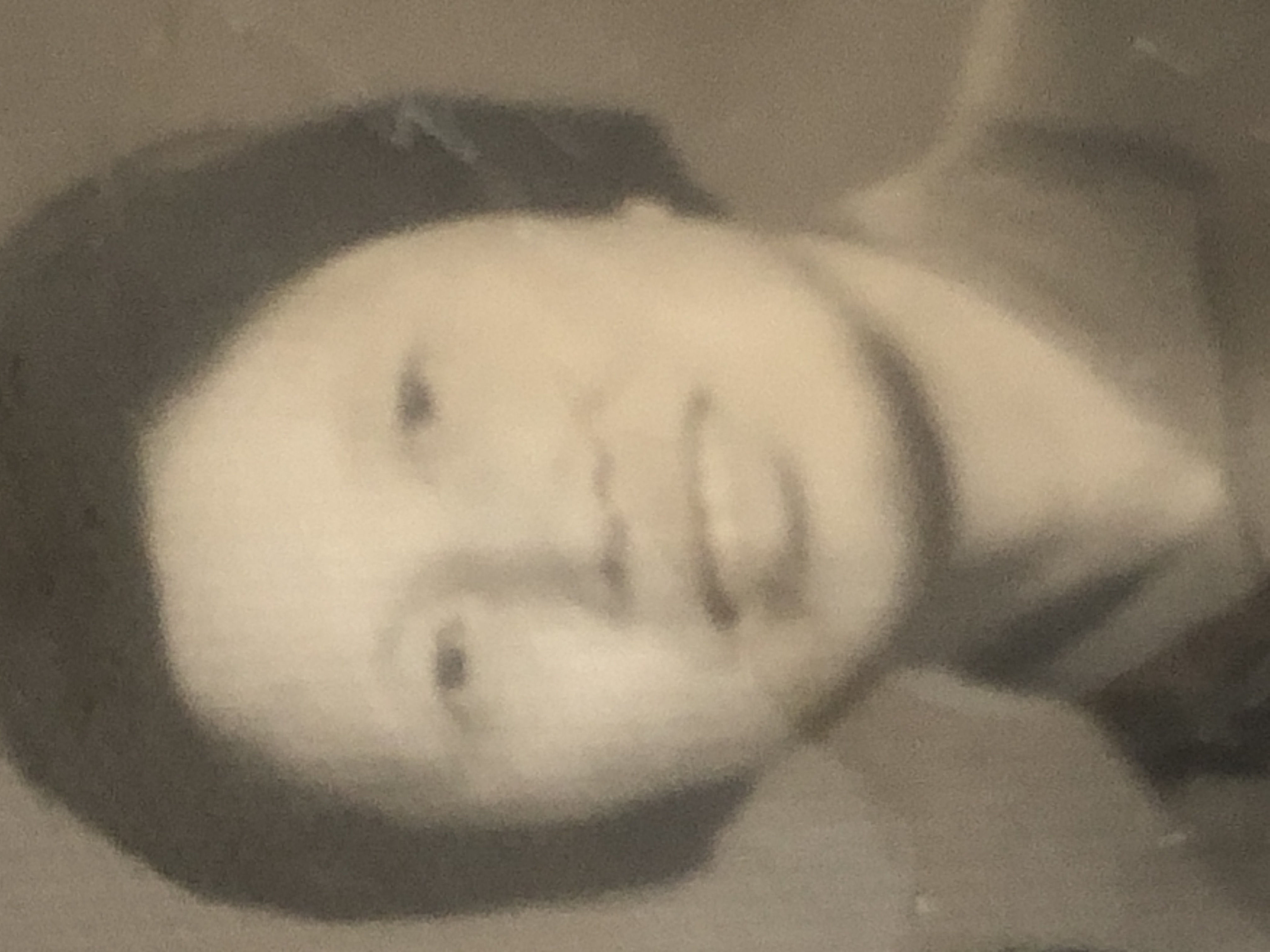 崔秀兰网上祭奠馆