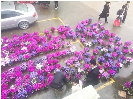 清明节到了如何做到文明祭奠